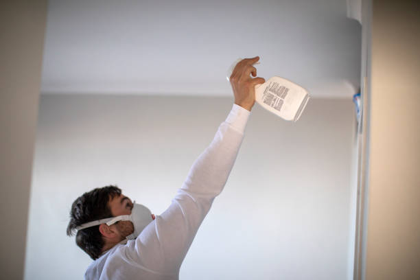 Best Mold Cleaning Services  in Morris, IL