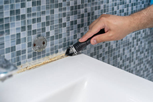  Morris, IL Mold Removal Pros