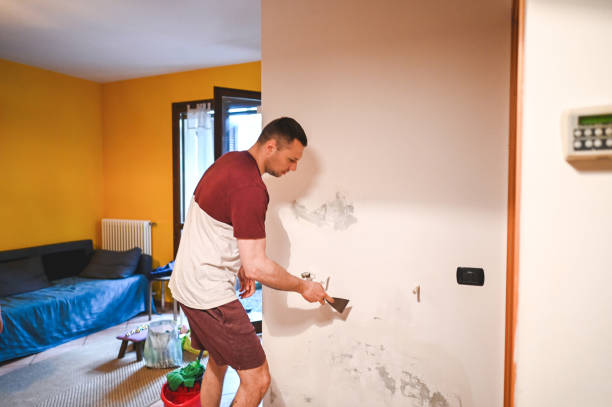 Best Commercial Mold Removal  in Morris, IL