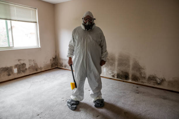 Water Damage Restoration in Morris, IL